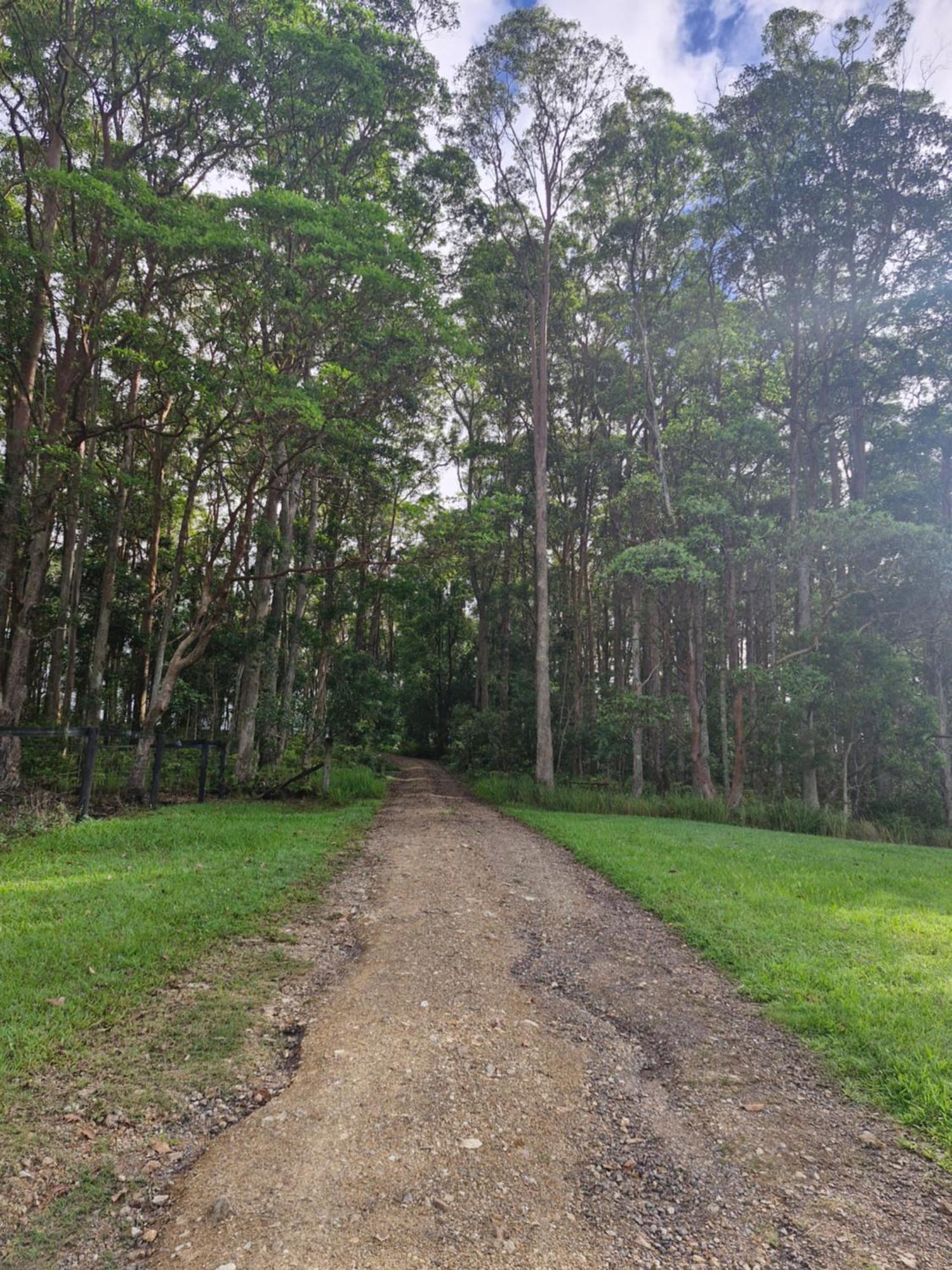 Country Cottage Sunshine Coast Montville Luaran gambar